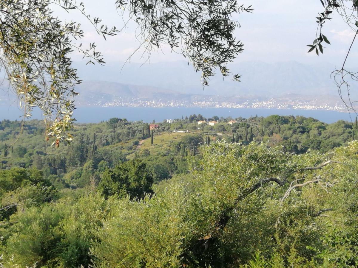 Olive Grove Deluxe Apartment Agnítsini Exteriér fotografie